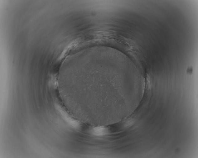 X0000113070383200909110946