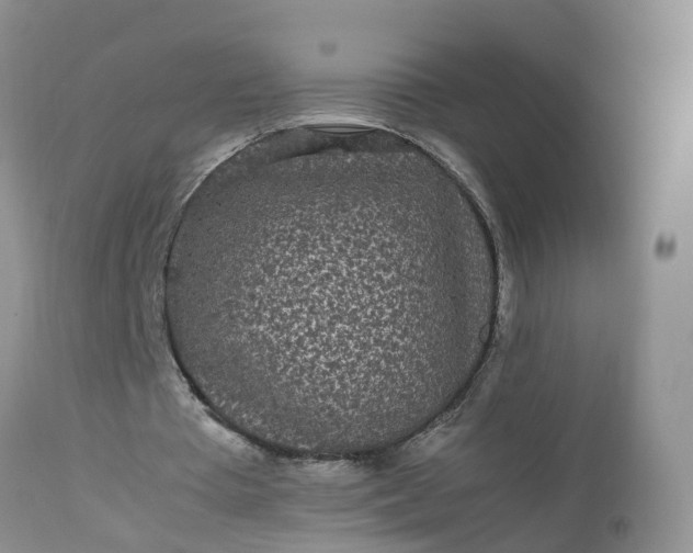 X0000113070385200909110945