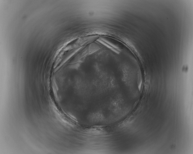 X0000113070386200909110945