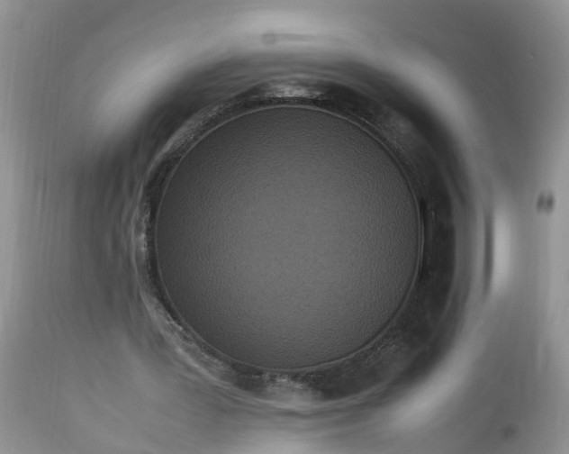 X0000113070387200909110945