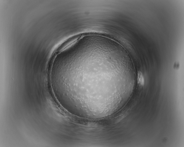 X0000113070388200909110945