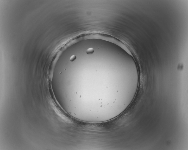 X0000113070389200909110945