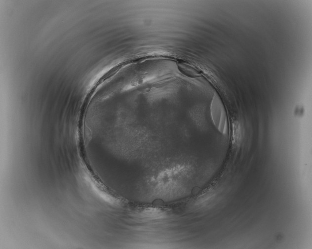 X0000113070390200909110945