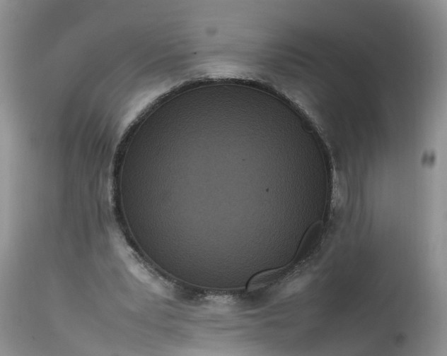 X0000113070391200909110945