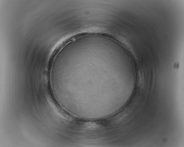 X0000113070392200909110945