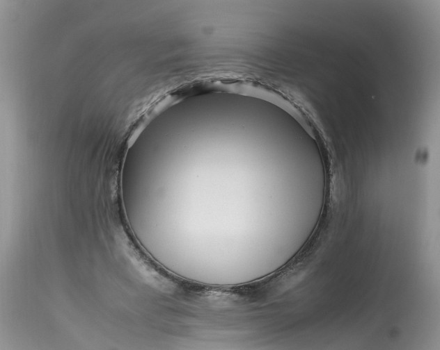 X0000113070393200909110945