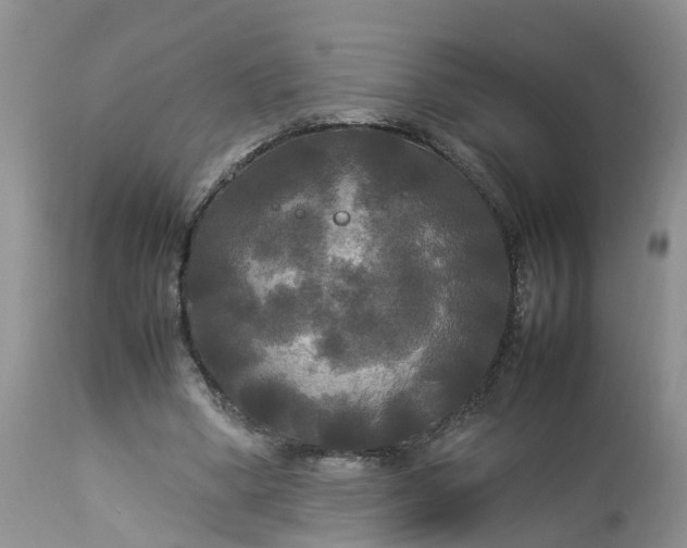 X0000113070394200909110945