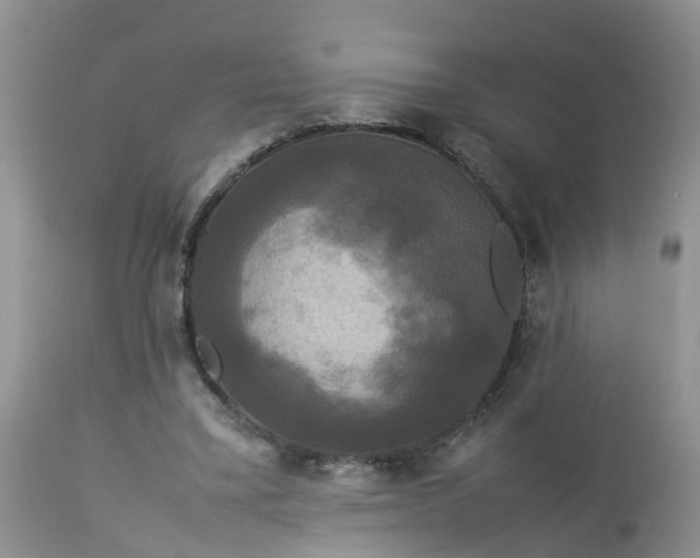 X0000113070395200909110945