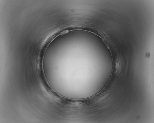 X0000113070396200909110945