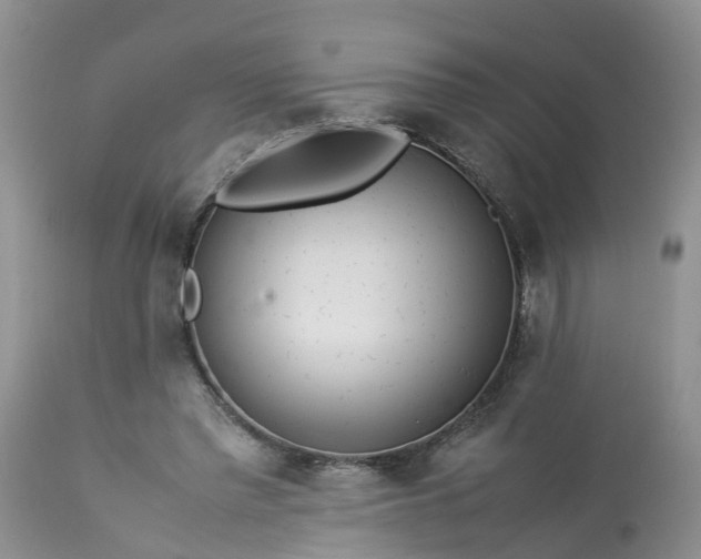 X0000113070397200909110945