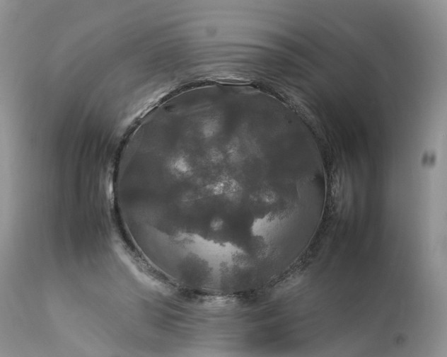 X0000113070398200909110945