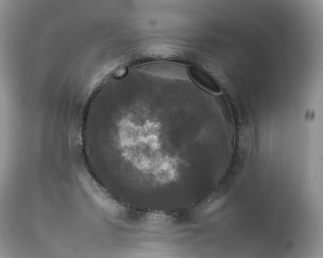 X0000113070399200909110945