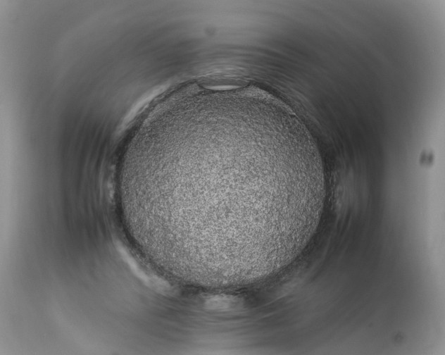 X0000113070400200909110945