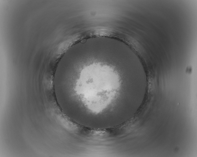 X0000113070401200909110945