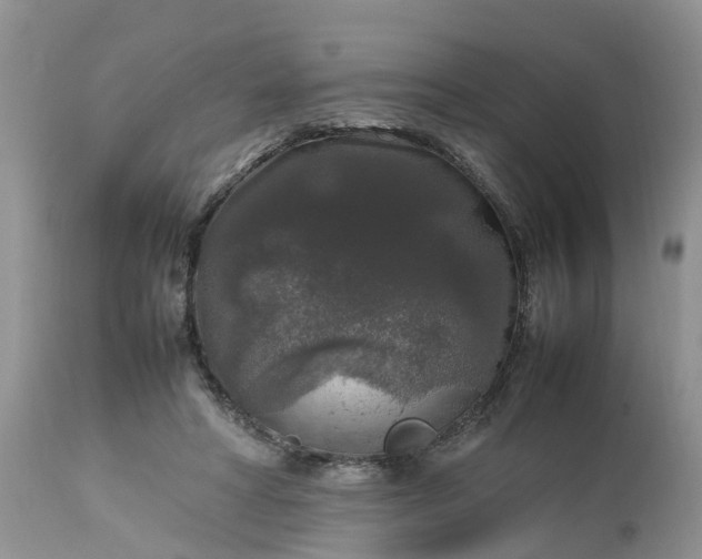 X0000113070402200909110945