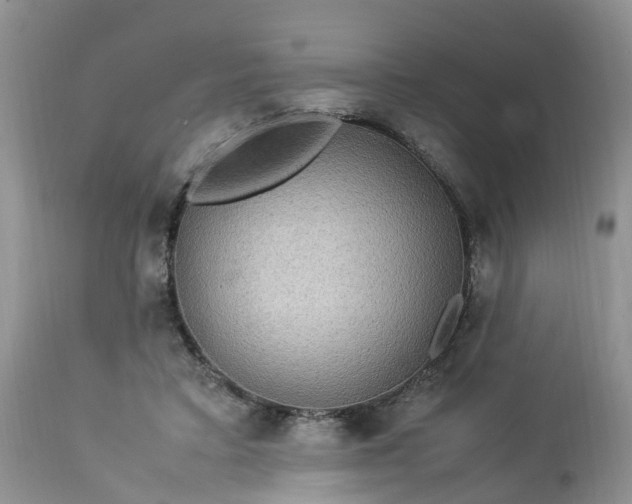 X0000113070403200909110945