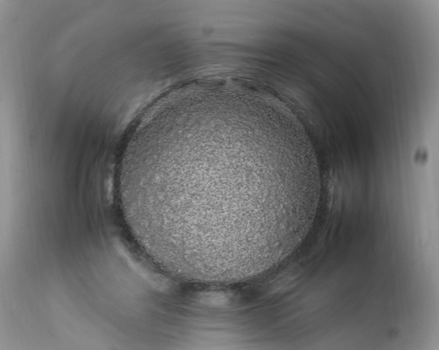 X0000113070404200909110945