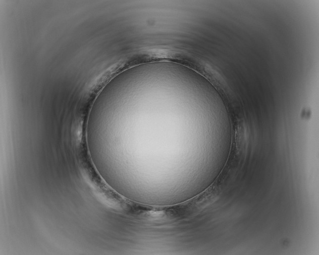 X0000113070406200909110945