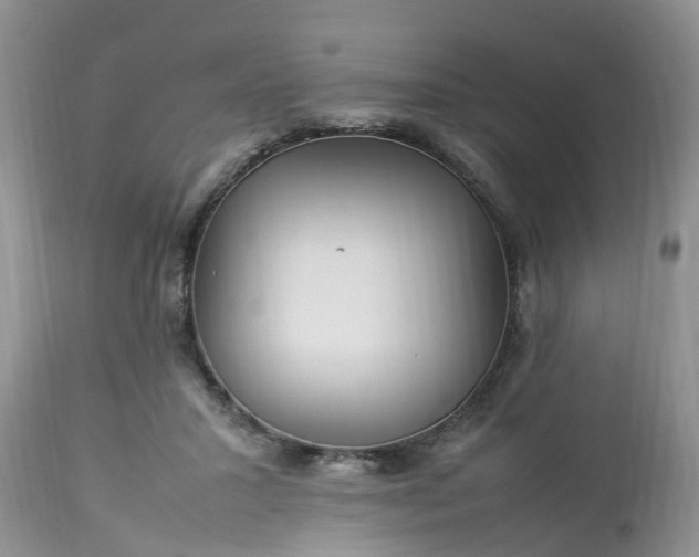 X0000113070407200909110945