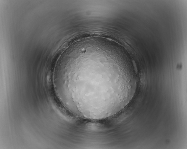 X0000113070408200909110945