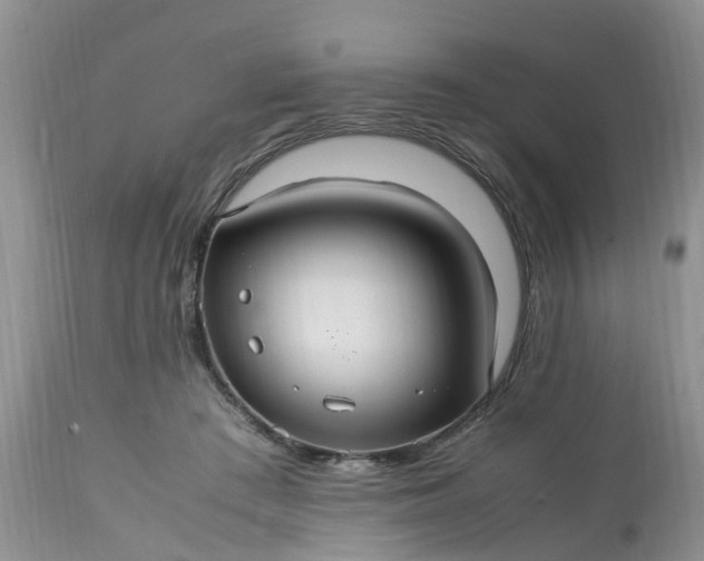 X0000113070409200909110945