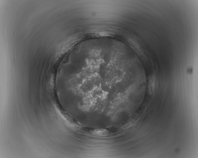 X0000113070410200909110945