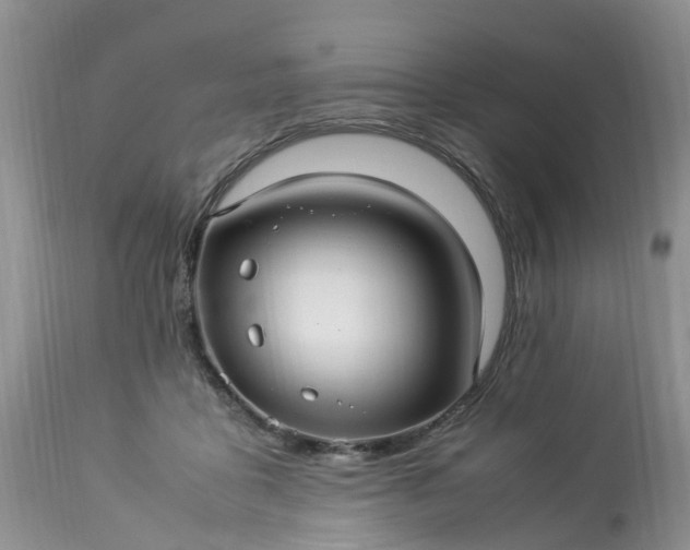 X0000113070411200909110945