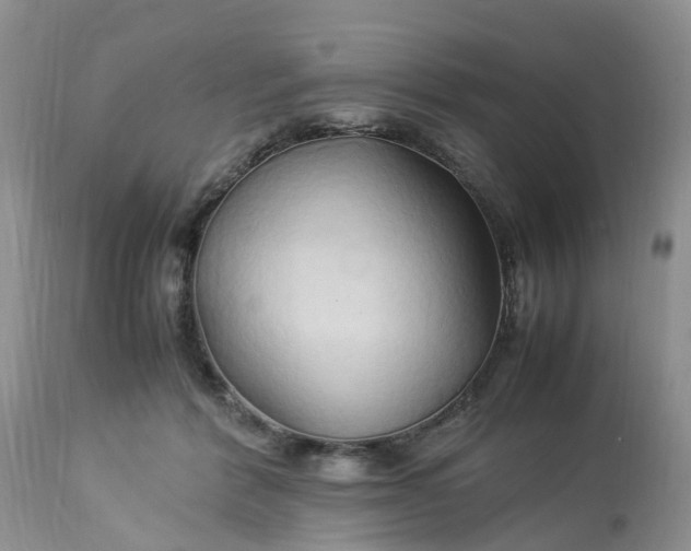 X0000113070412200909110945