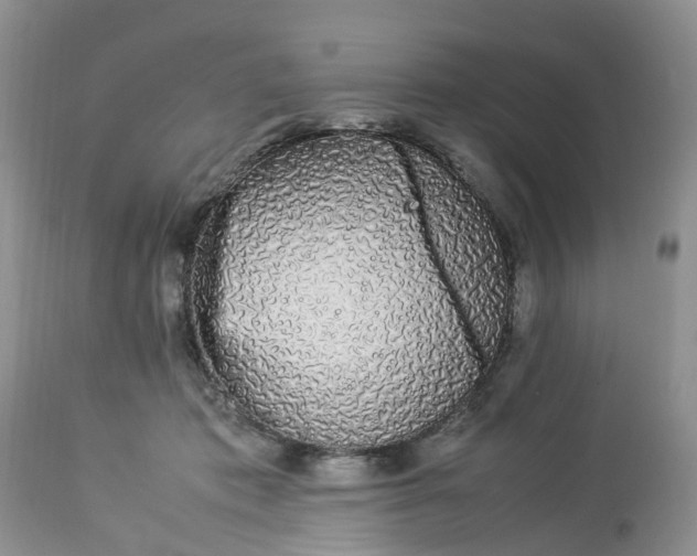 X0000113070413200909110945