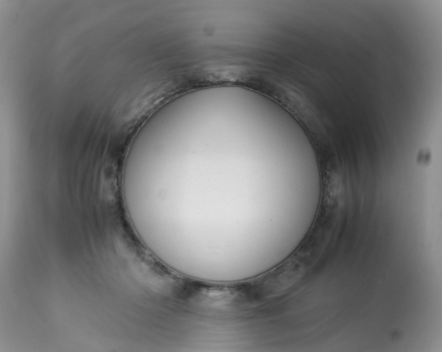 X0000113070414200909110945