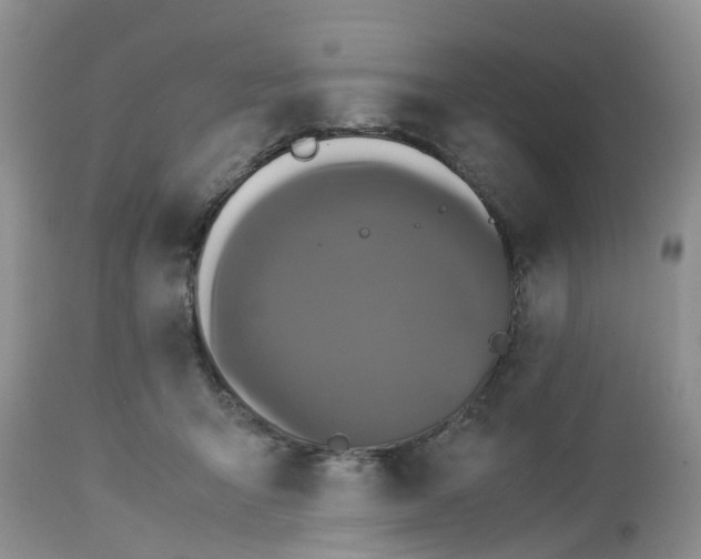 X0000113070415200909110945