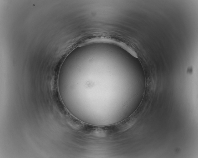 X0000113070416200909110945