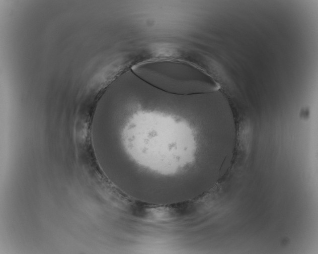 X0000113070417200909110945