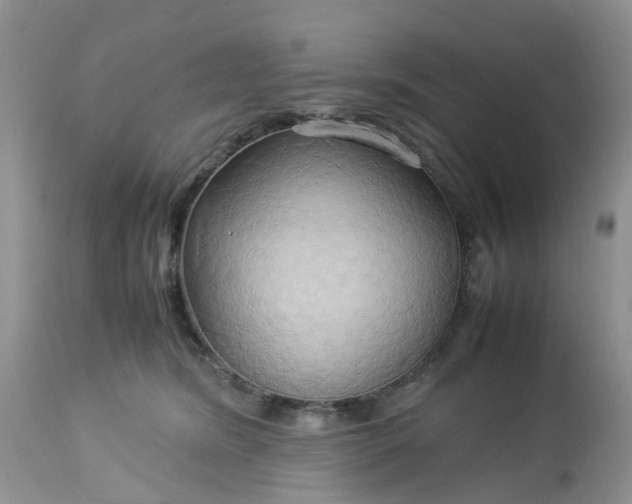 X0000113070420200909110945