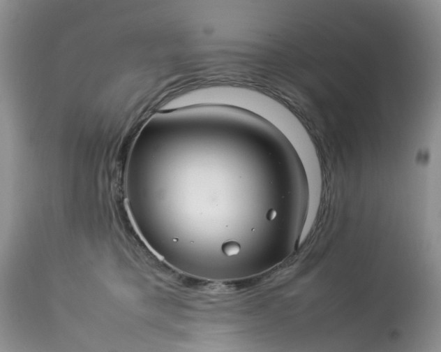 X0000113070421200909110944