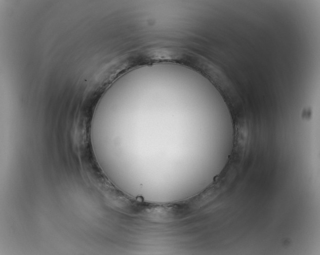 X0000113070422200909110944