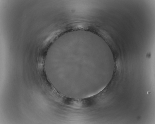 X0000113070423200909110944