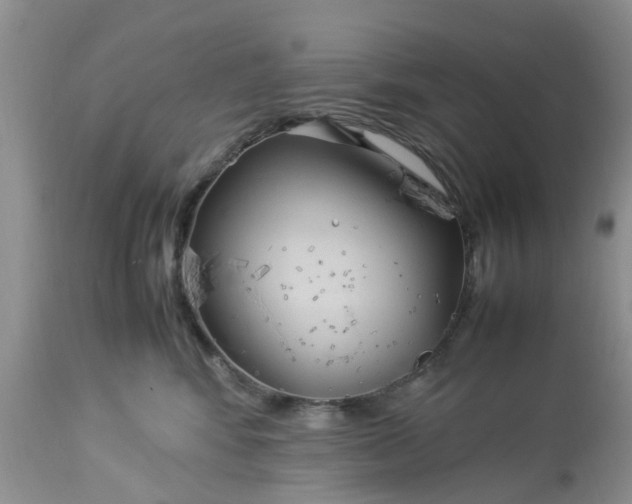 X0000113070424200909110944