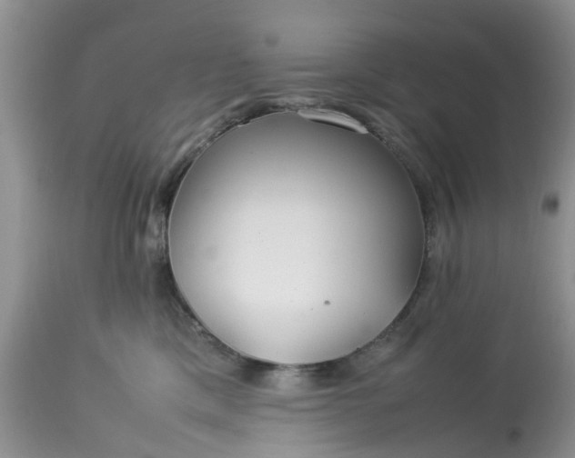 X0000113070425200909110944