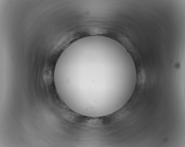 X0000113070426200909110944