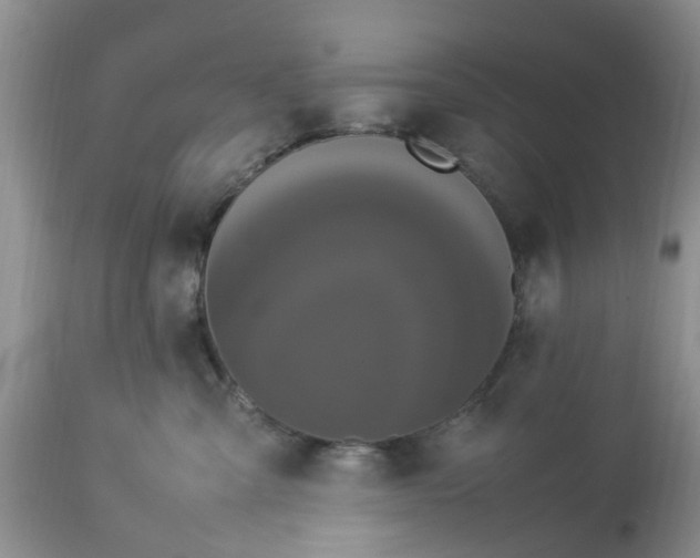 X0000113070427200909110944