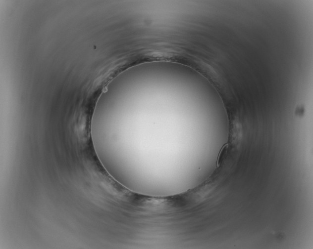 X0000113070428200909110944