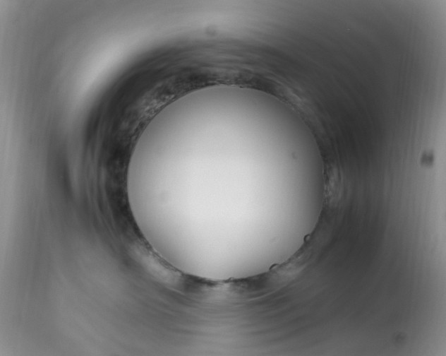 X0000113070430200909110944