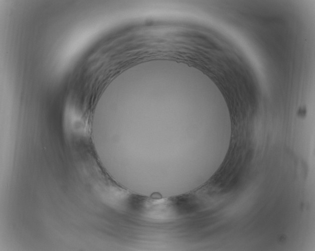 X0000113070431200909110944