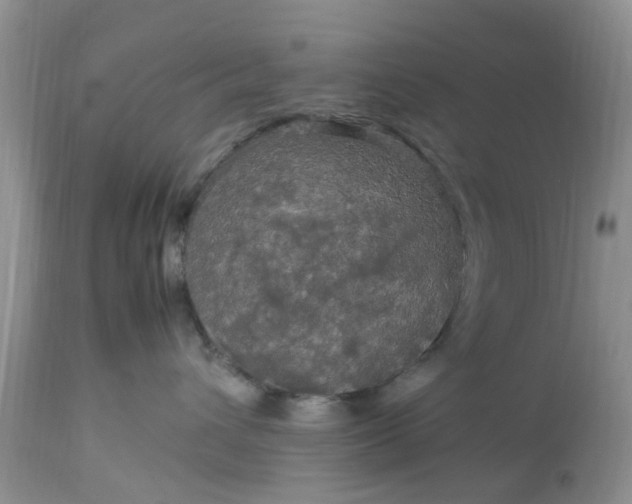 X0000113070432200909110944