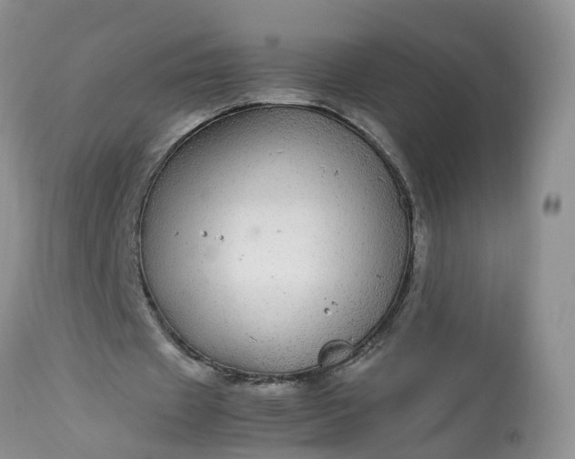 X0000113070433200909110944