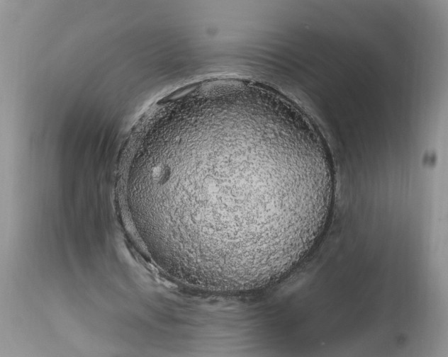 X0000113070434200909110944