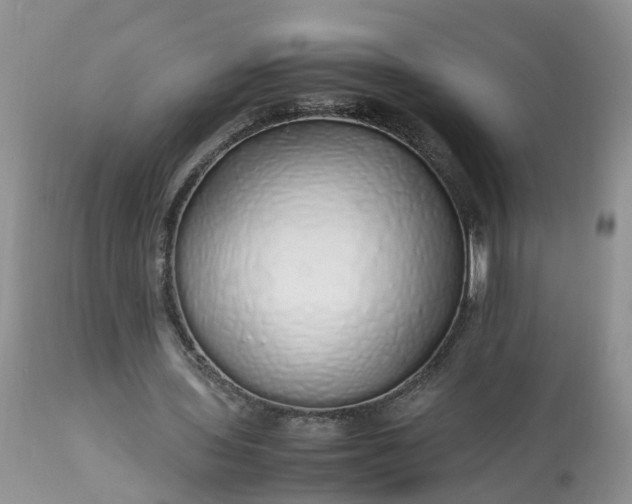 X0000113070435200909110944