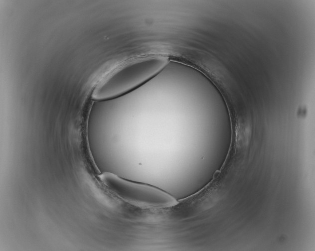 X0000113070436200909110944