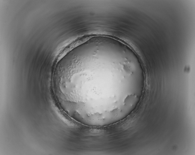 X0000113070437200909110944